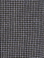 Blue Tongue Lizard Jacket