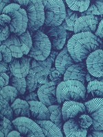 'Bottom of the Bass Strait'