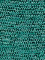 Green Tree Snake Jacket