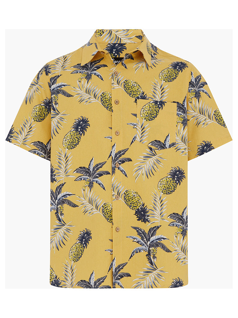 b ANANAS