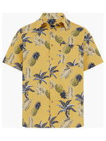 b ANANAS