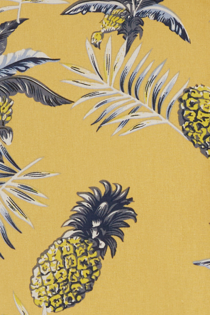 b ANANAS