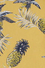 b ANANAS
