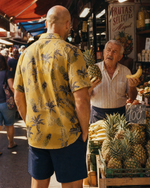 b ANANAS
