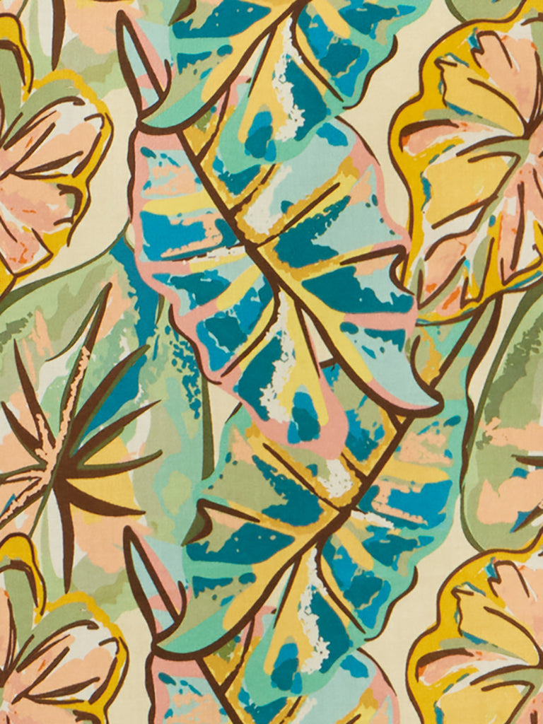 Dr Daintree