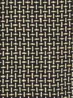 Australian Honey Bee Jacket - Joe Bananas | Australia