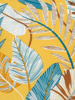 KA - 6 - Joe Bananas | Australia