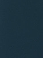 Navy Tailored Shorts - Joe Bananas | Australia