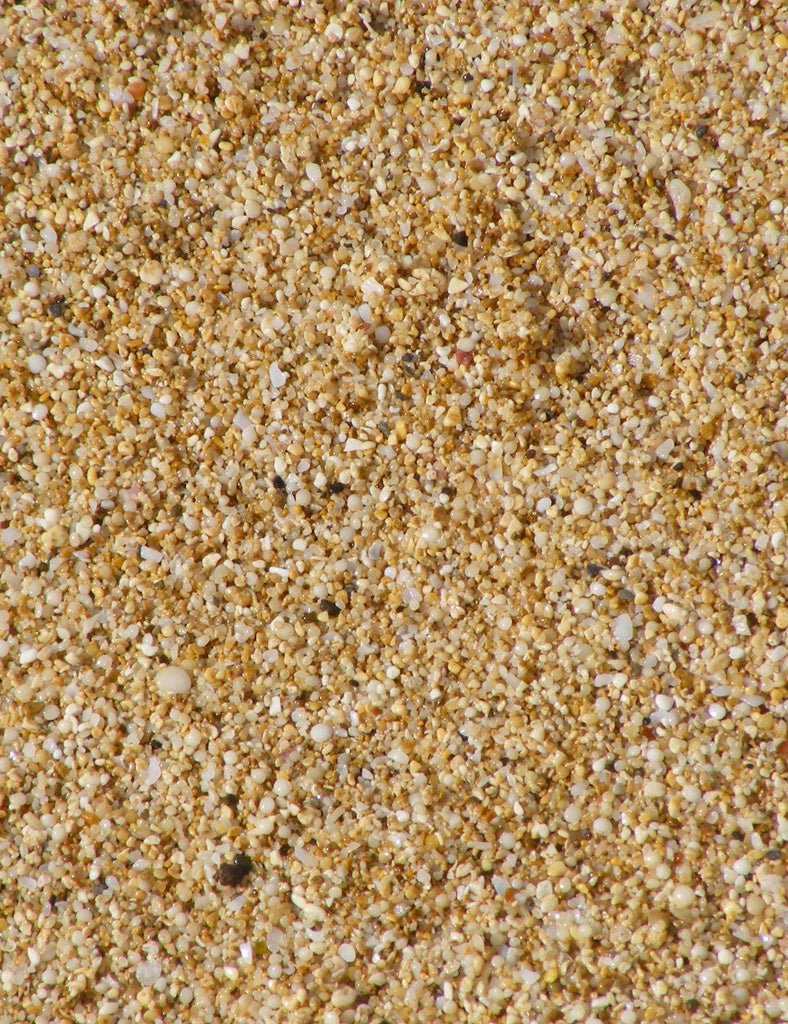 Shelly Beach Jacket - Joe Bananas | Australia