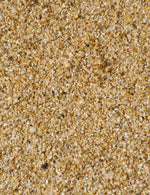 Shelly Beach Jacket - Joe Bananas | Australia