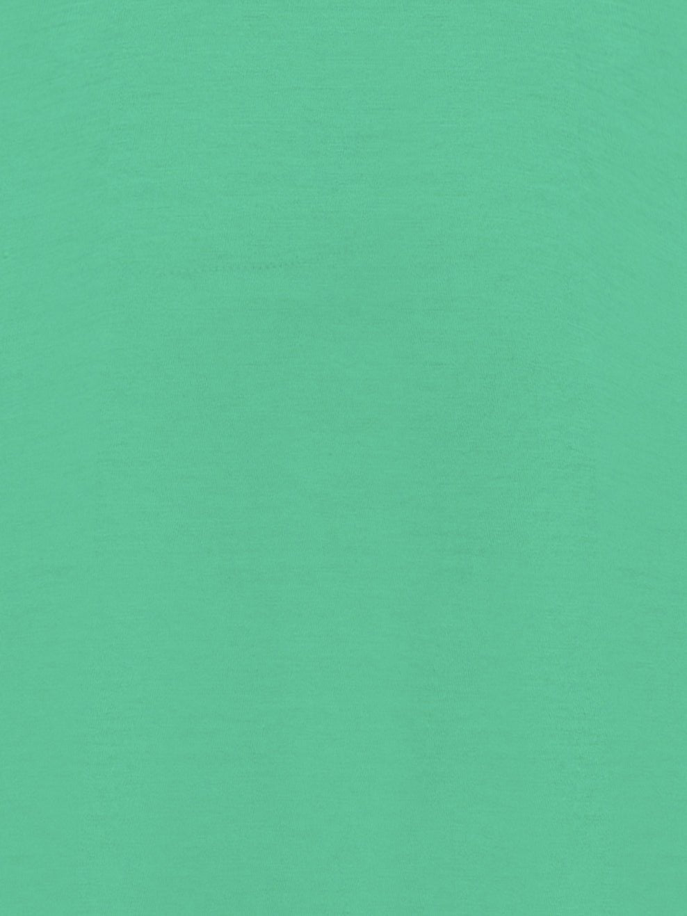 The Don Spearmint T-shirt - Joe Bananas | Australia