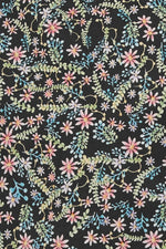 Zarcillo - Joe Bananas | Australia