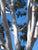 Ghost Gum