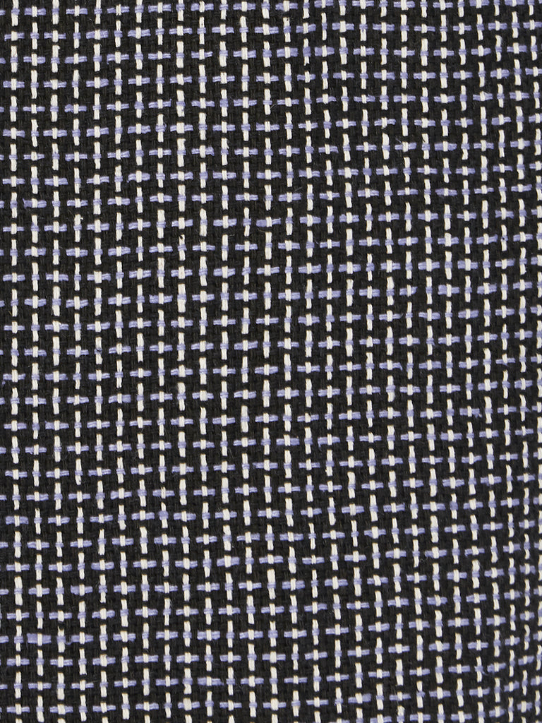 Blue Tongue Lizard Jacket