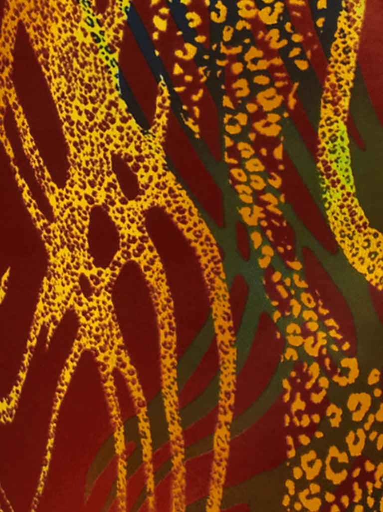 'Kakadu King'