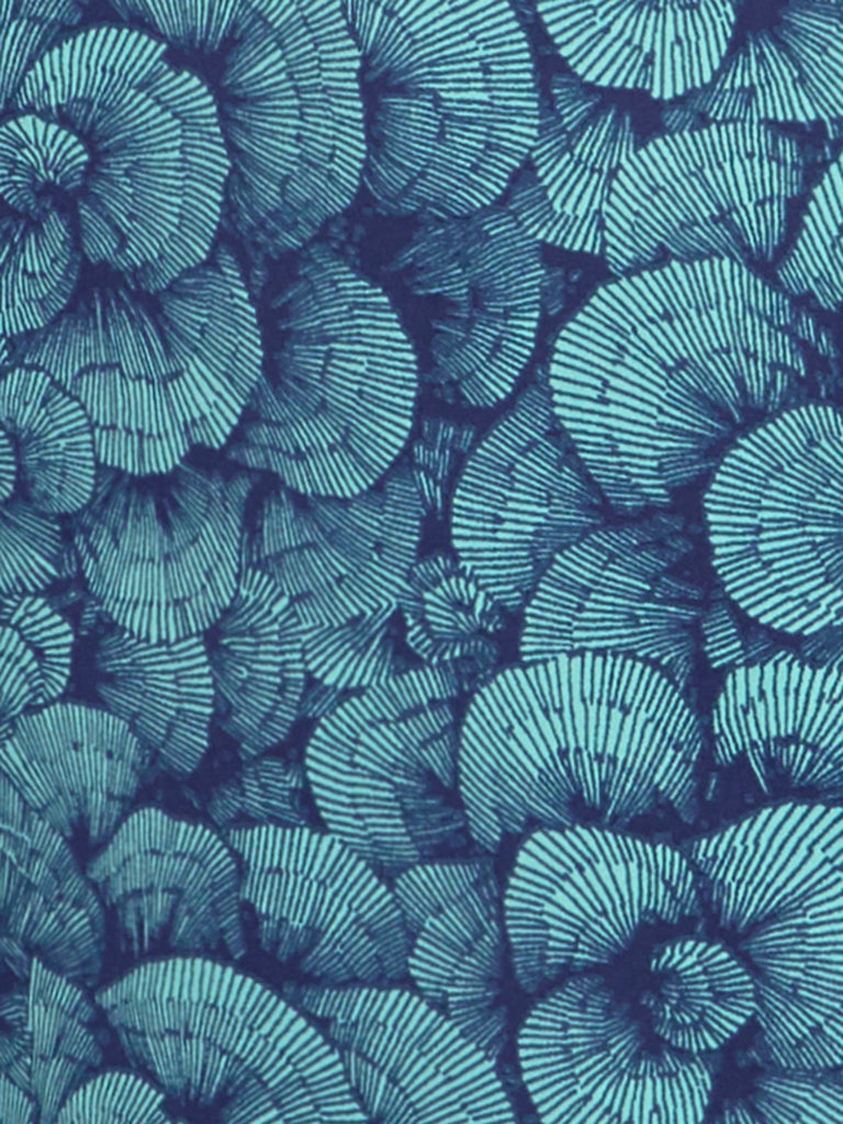 'Bottom of the Bass Strait'