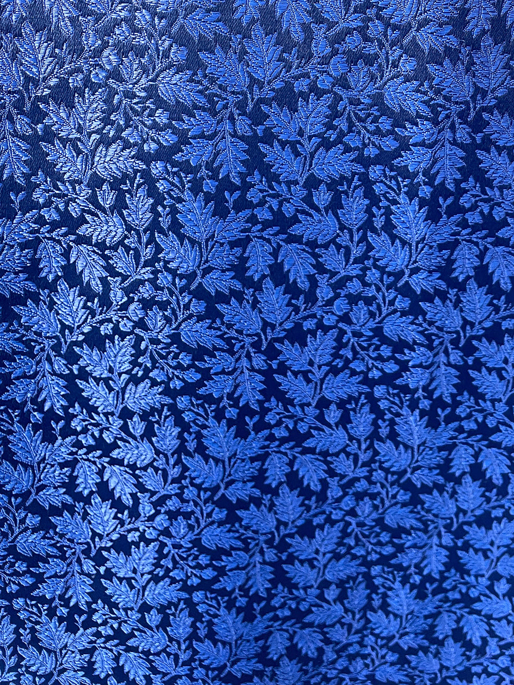 'Les Bleus'