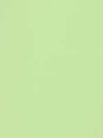 lime Tailored Shorts
