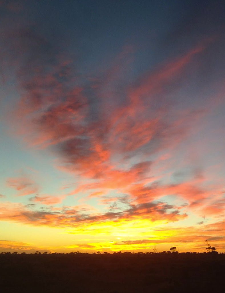 Nullarbor Dusk - Joe Bananas | Australia