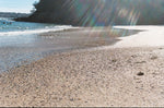 Shelly Beach Jacket