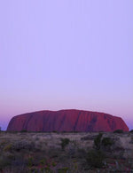 Uluru Night View Stringybark Jacket - Joe Bananas | Australia