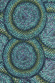 'Rainbow Serpent' Art Series