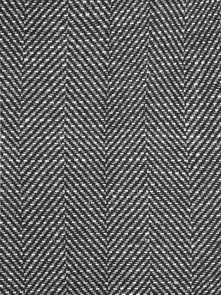 Echidna Jacket