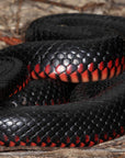 Red Bellied Black Snake Jacket
