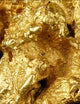 Holtermann's Gold Jacket