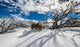 Perisher Snowgum Jacket