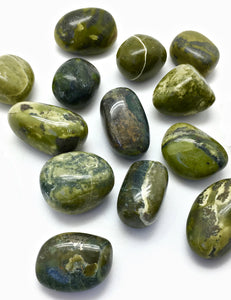 Serpentine Stone Jacket
