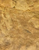 Triassic siltstone, close-up [Image credit: thefossilforum.com]