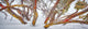 Thredbo Snowgum Jacket